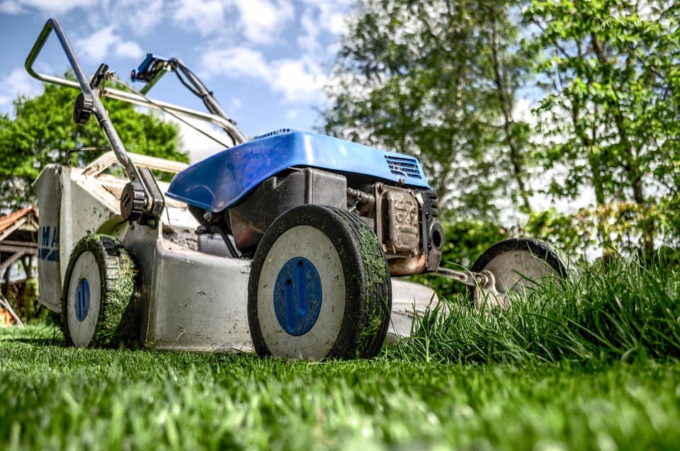 lawn care