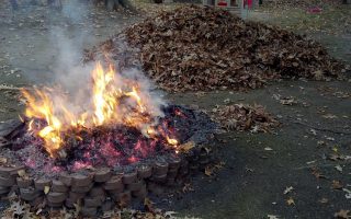 leaf burning