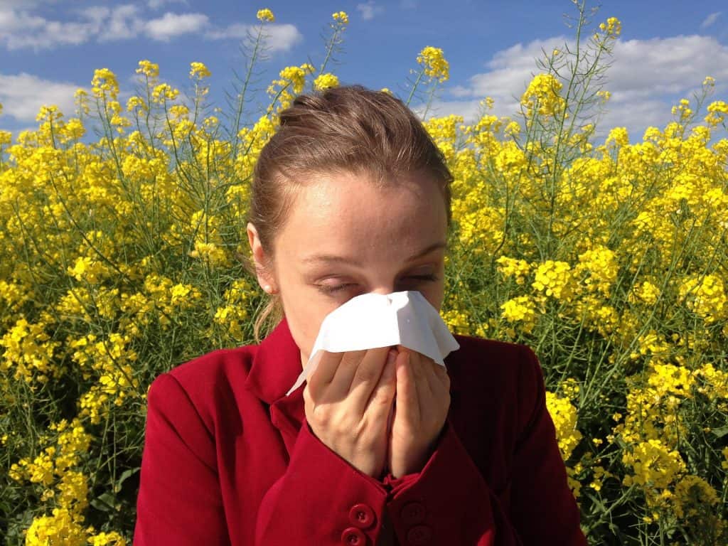 Allergy Season Hacks Four Natural Ways To Beat Spring Allergies Us