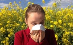 treating allergies naturally