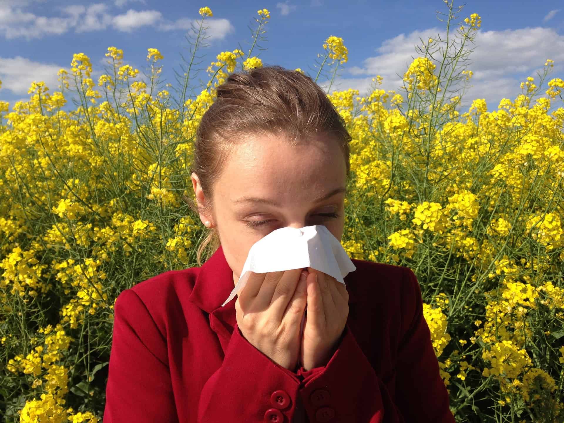 do air purifiers work for allergies
