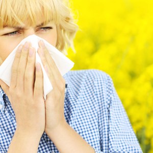 Allergy season