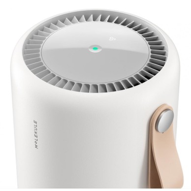 Molekule Air Mini+ Air Purifier for 250 sqft White: HEPA Filter, Captures Bacteria & Viruses, 2-Year Warranty